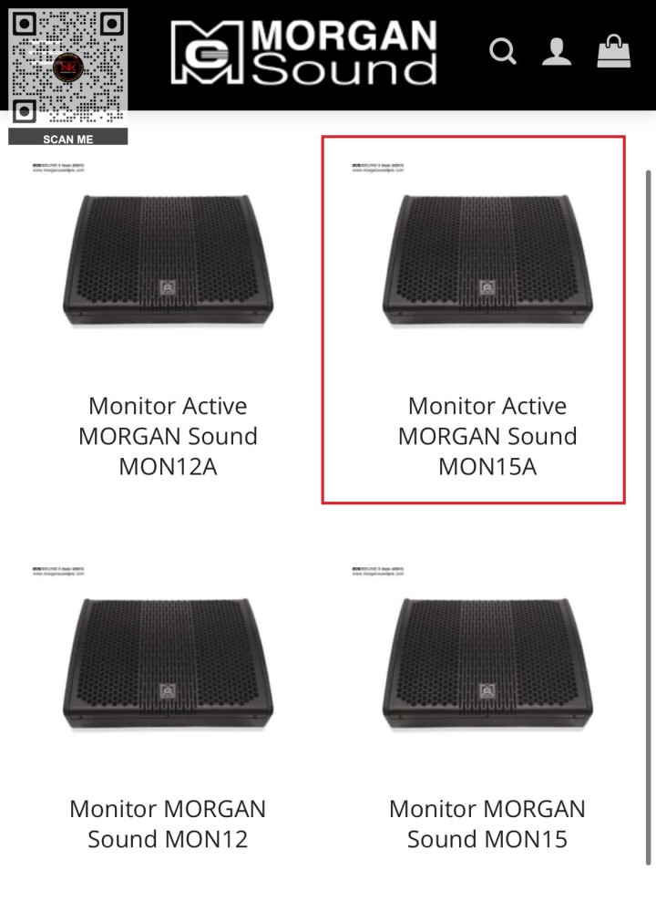 Loa Monitor MORGAN SOUND MON15A