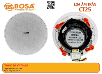 Loa Âm Trần BOSA CT25