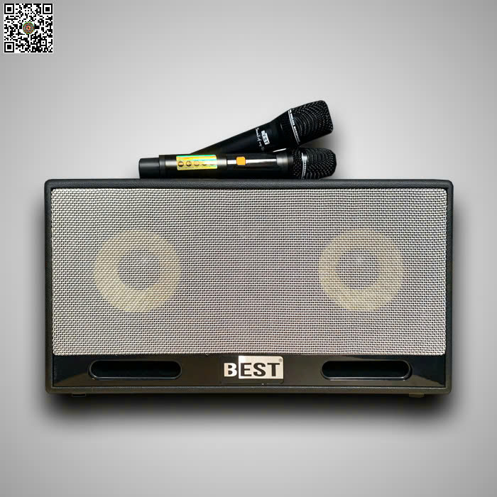 Loa Kéo BEST B16PRO